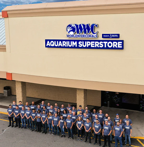 Master Your Own Marine Oasis